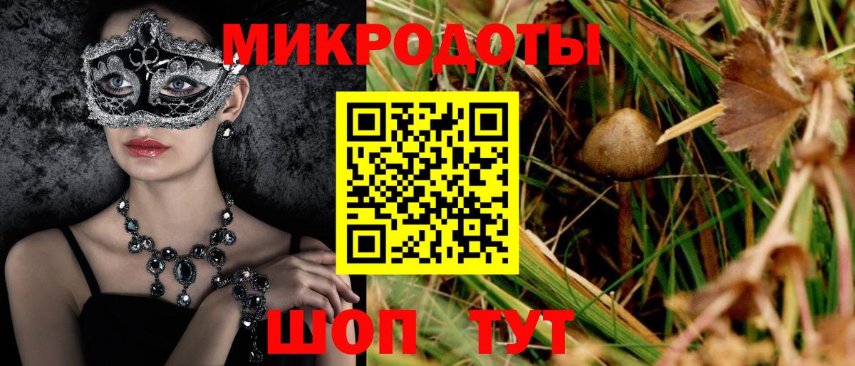 Артём  Псилоцибиновые грибы GOLDEN TEACHER  Вход с VPN 
